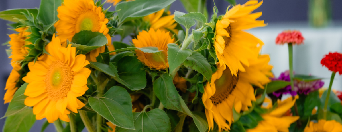 CSA- Spring Bouquet Subscription